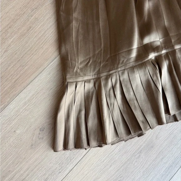 Vfish Taupe Silk Dress with Pleated Trim - Picture 4 of 9